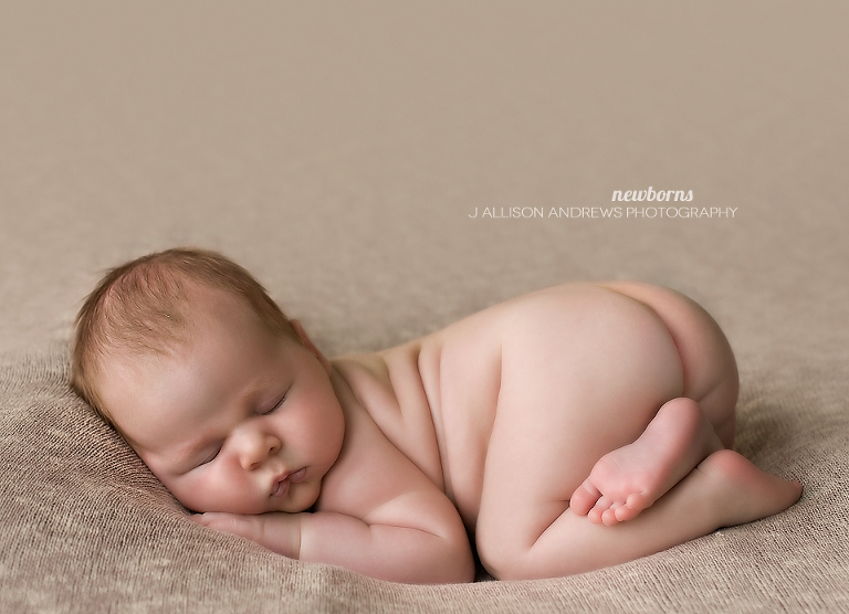 IMG_3617_cropped_rev