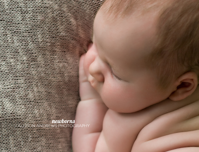 IMG_3619_cropped_rev